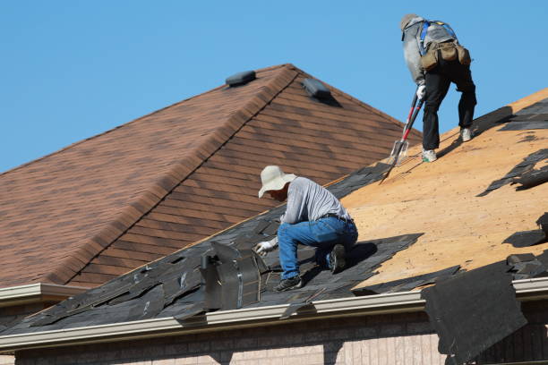Professional Roofing services in Auburndale, FL