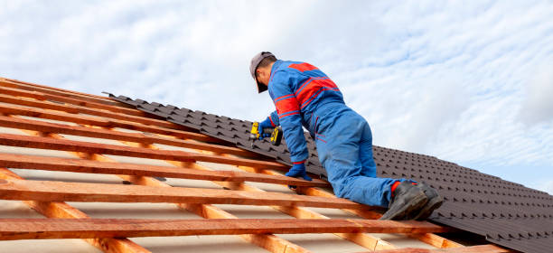 Best Solar Panel Roofing Installation  in Auburndale, FL