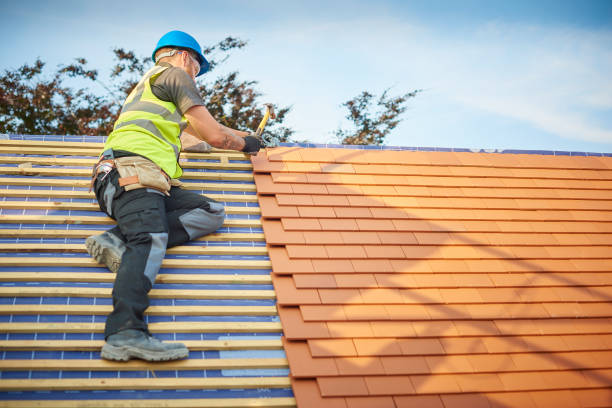 Best Rubber Roofing (EPDM, TPO)  in Auburndale, FL